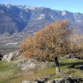Etschtal / Valle dell'Adige with Tramin / Termeno