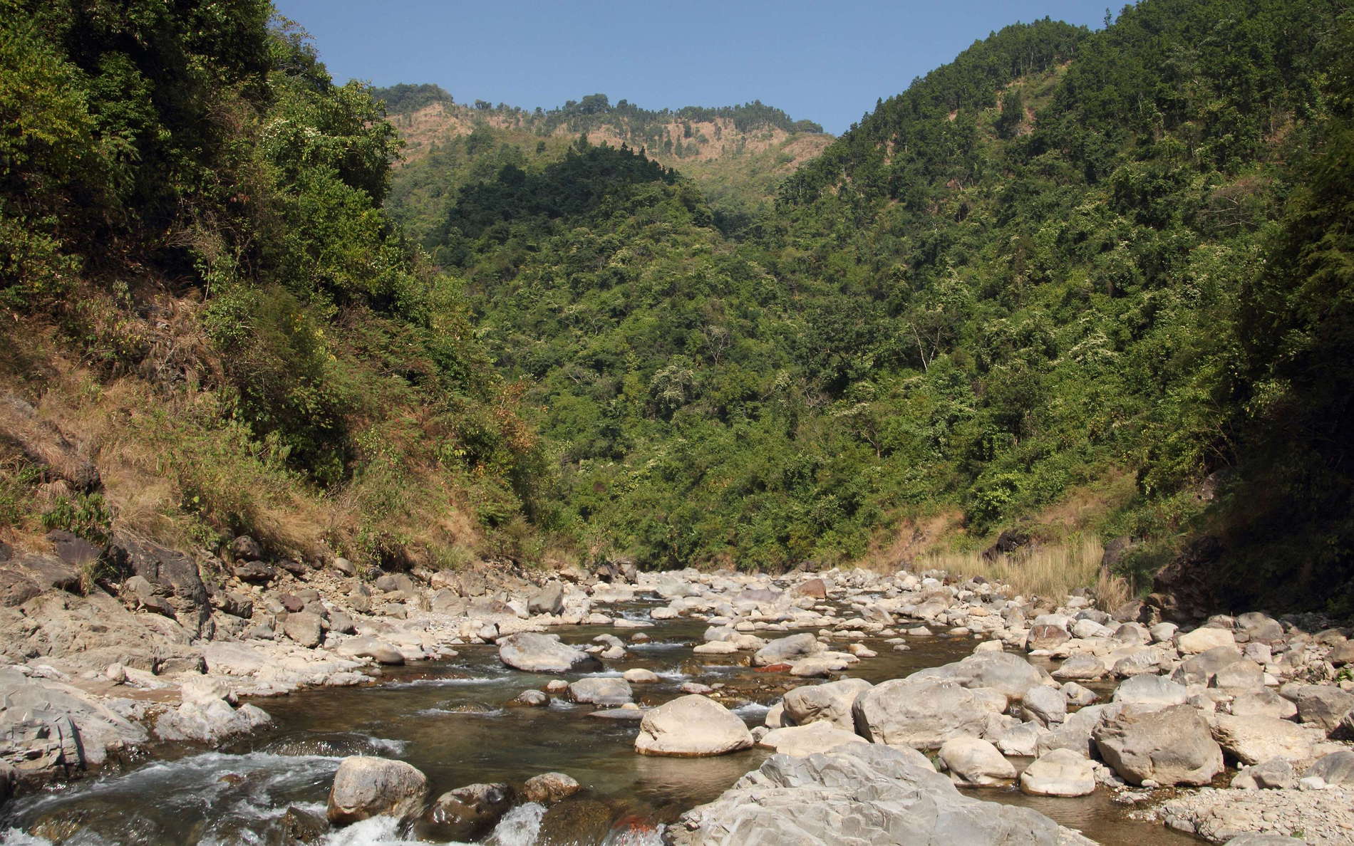 Lesser Himalaya  |  Mountain stream