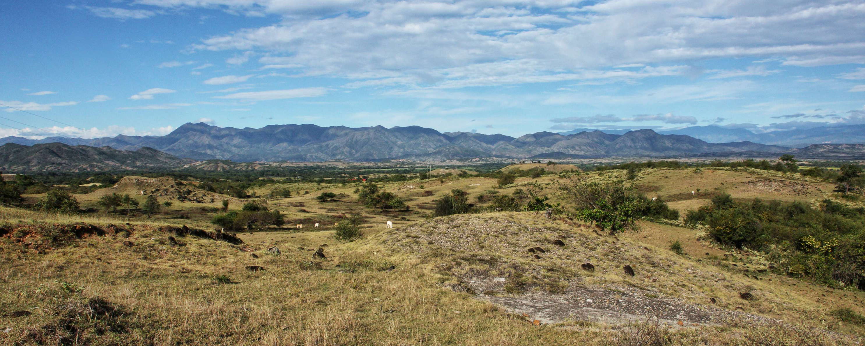 Río Magdalena Valley  |  Dry savanna