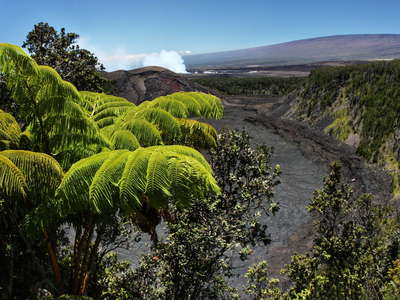 Hawai'i Volcanoes NP  |  Tree fern and Kīlauea Iki