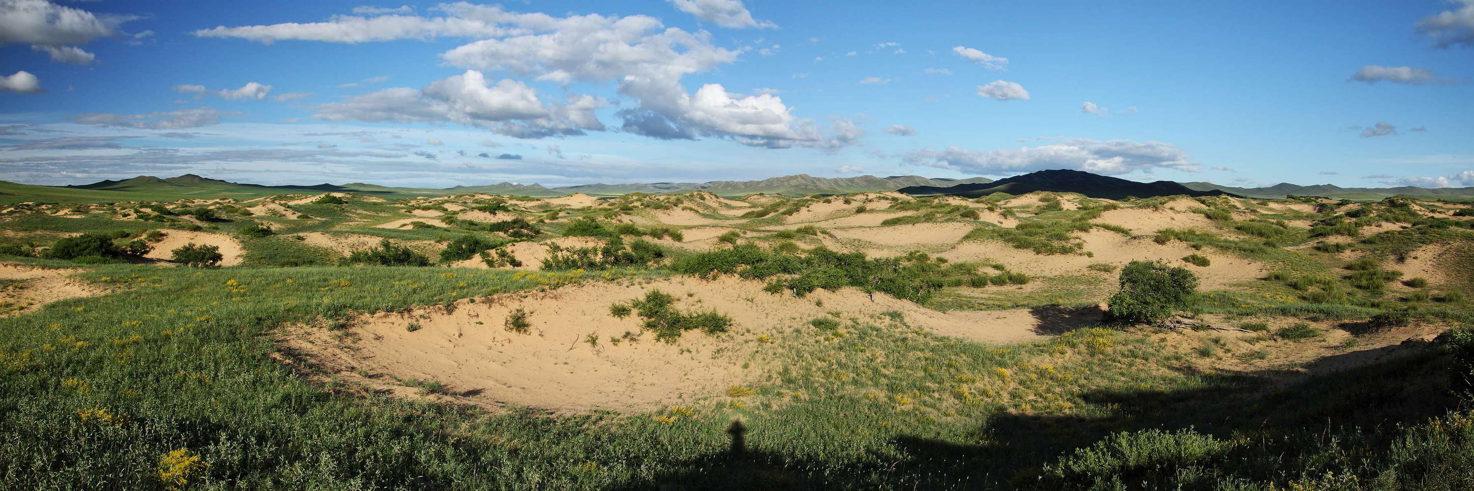 Khustayn Uul National Park  |  Vegetated dune field