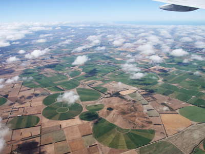 Canterbury Plains with Burnt Hill