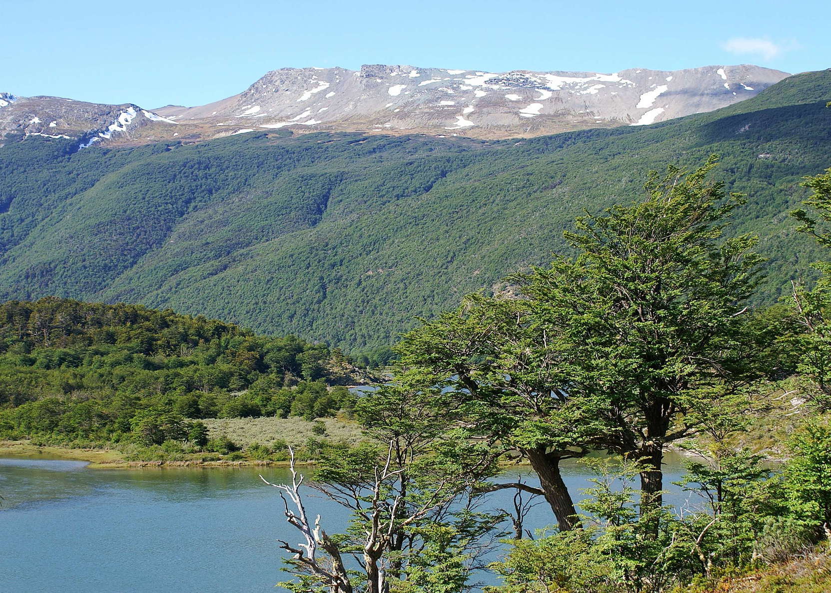 PN Tierra del Fuego | Cordillera del Guanaco