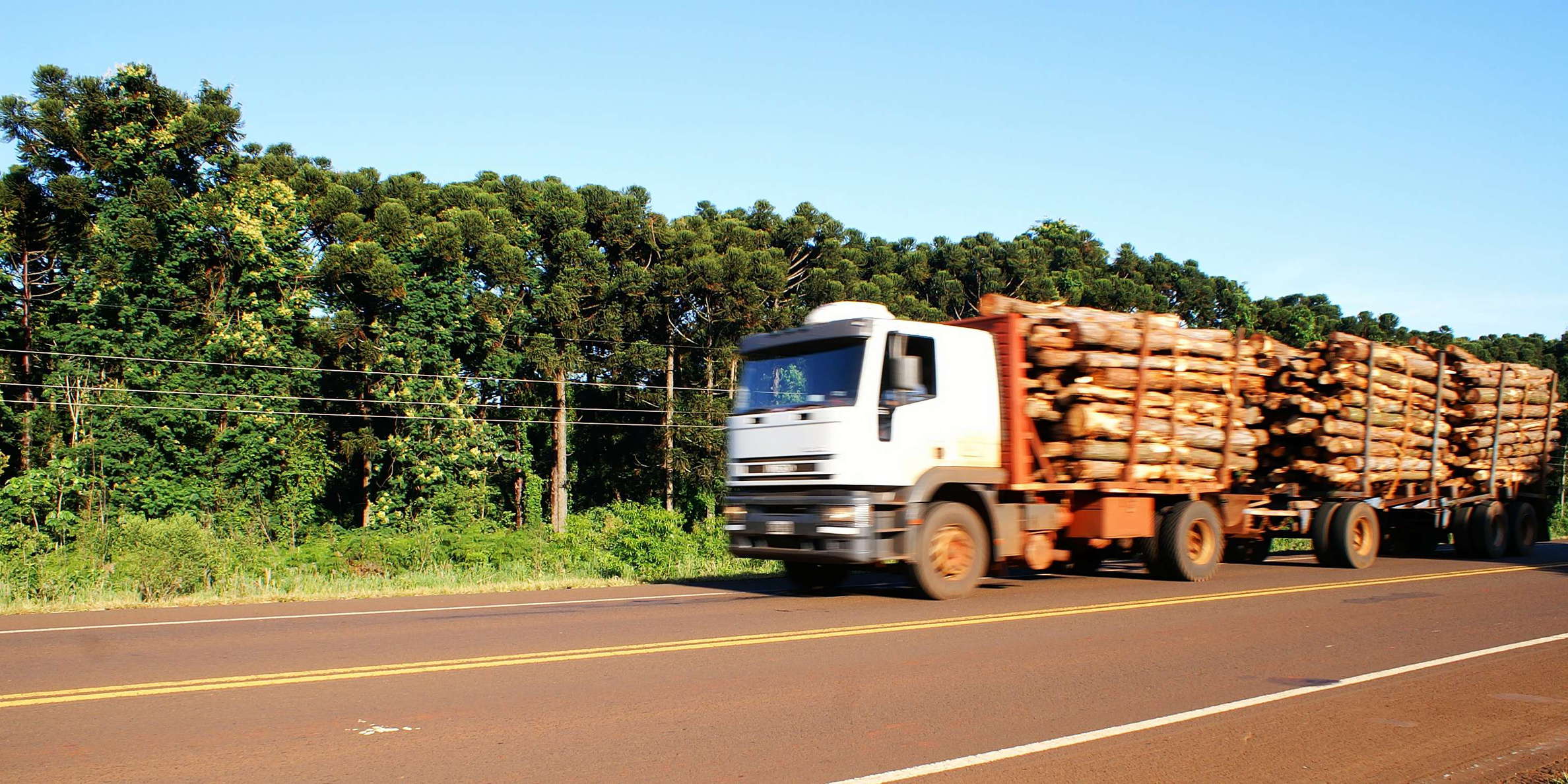 Misiones | Timber transport