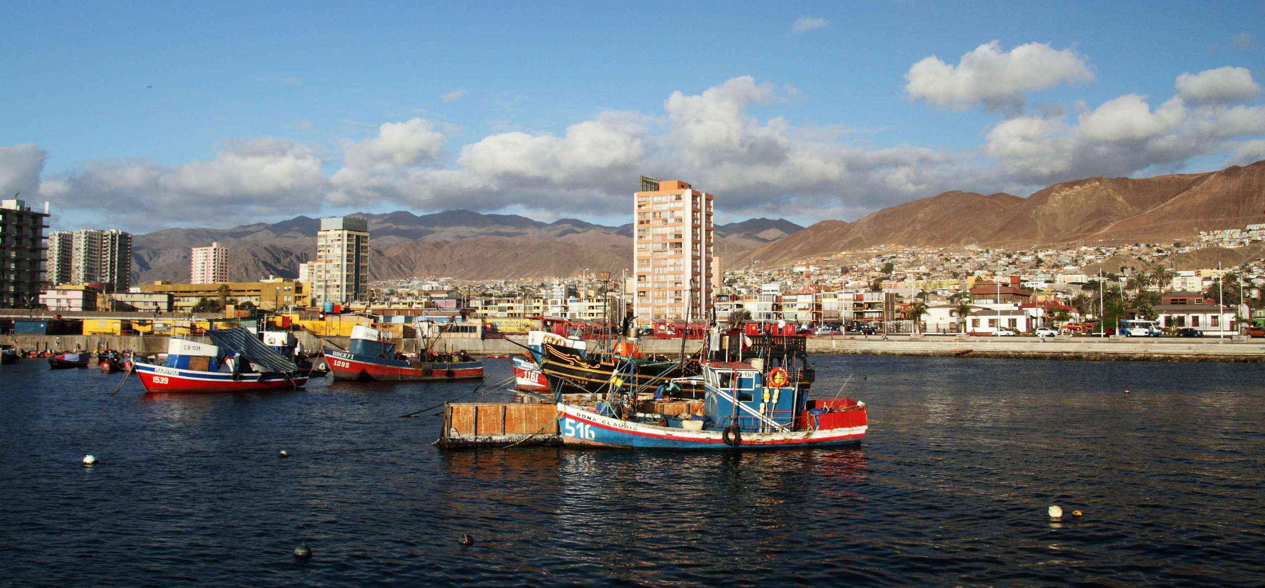 Antofagasta | Terminal Pesquero