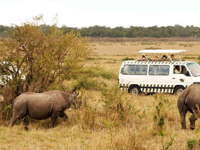 Masai Mara NR  |  Rhinoceros and tourists