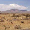 East African Rift Valley with Mt. Longonot