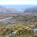Table Mountain and Hout Bay