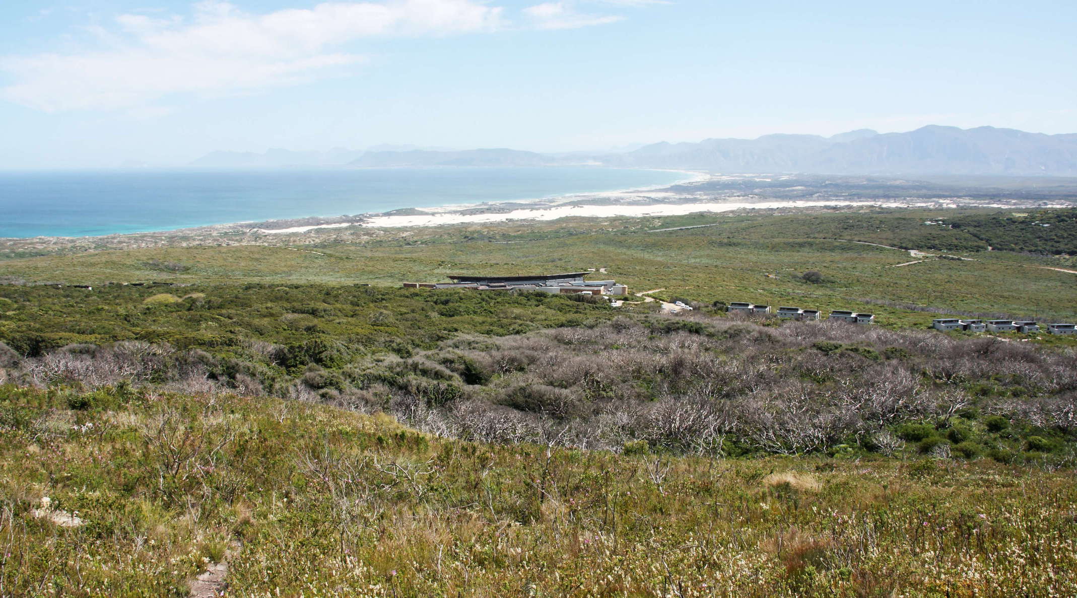 Grootbos NR with milkwood forest and Walker Bay