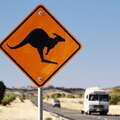 Stuart Highway  |  Kangaroo sign