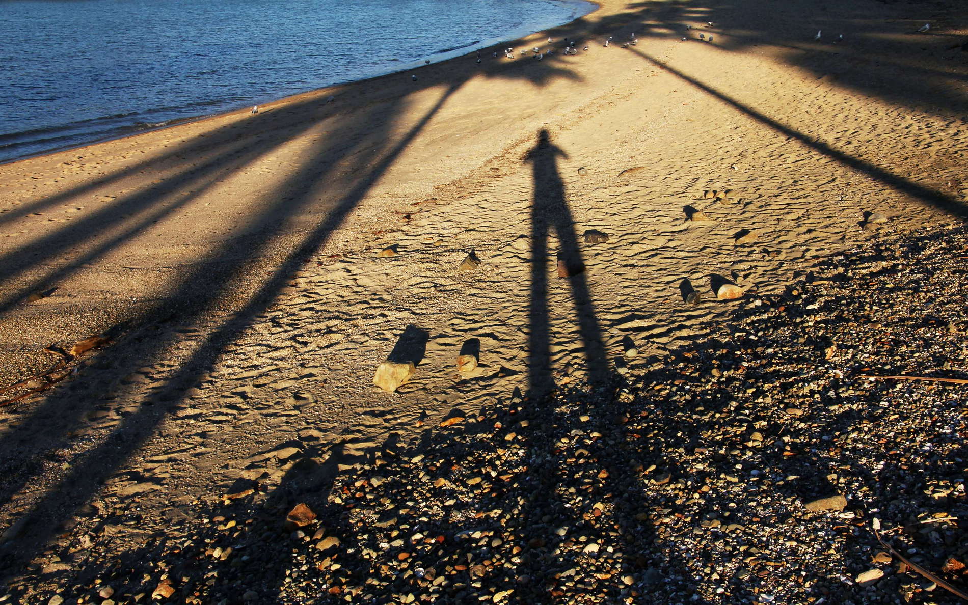 Airlie Beach  |  Shadows