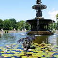 Central Park  |  Bethesda Fountain