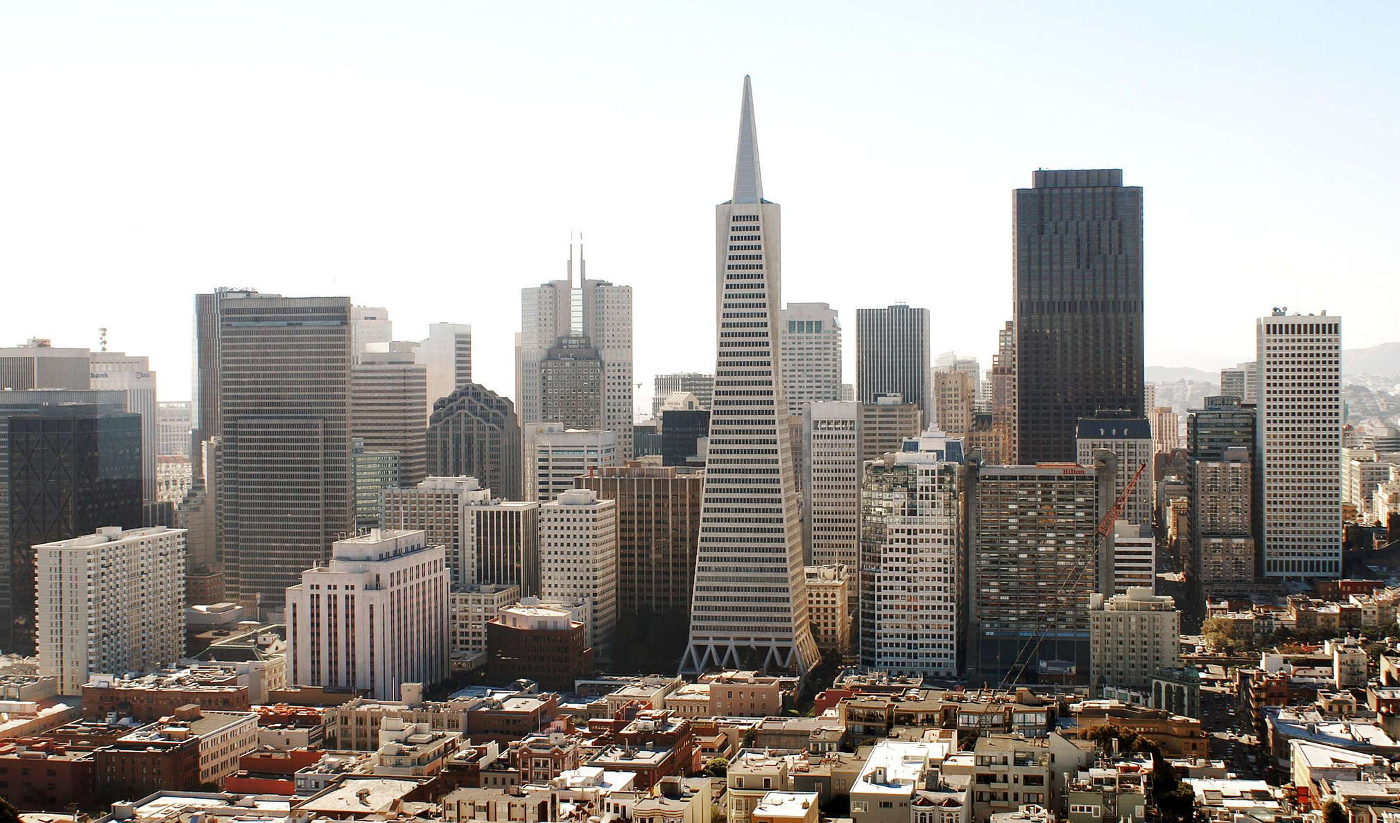 San Francisco  |  CBD with Transamerica Pyramid