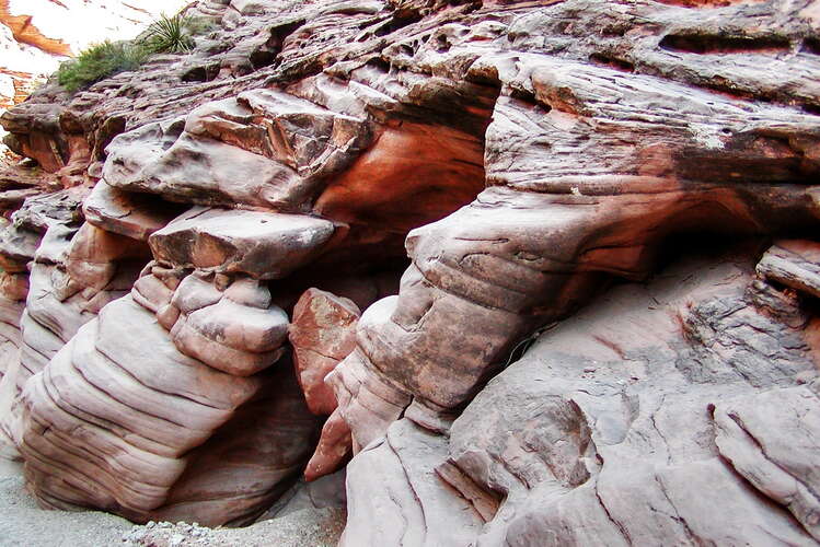 Havasu Canyon  |  Eroded sandstone