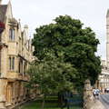 Oxford  |  Magdalen College
