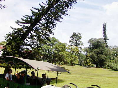 Peradeniya Royal Botanical Gardens