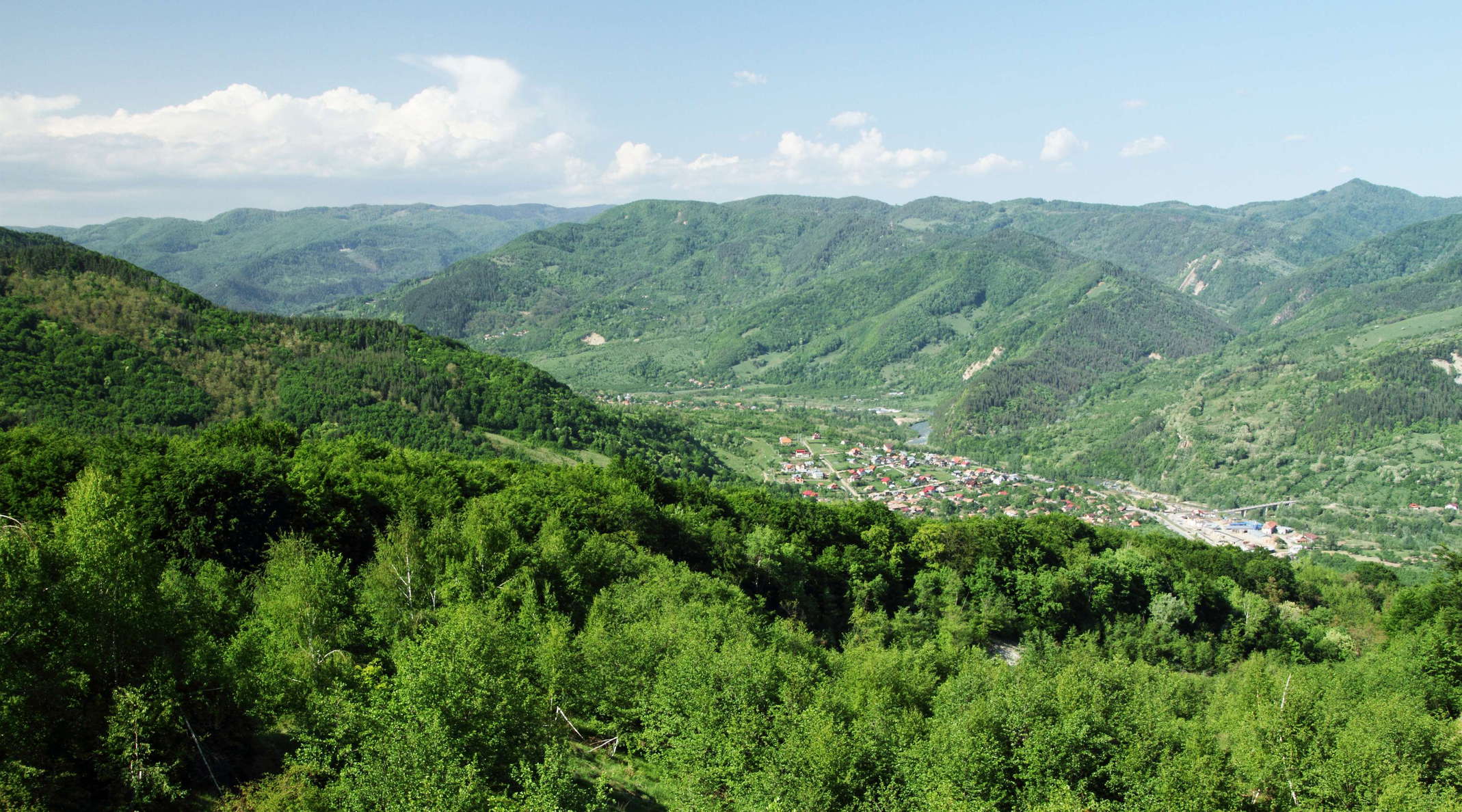 Chirlești  |  Carpathian landscape