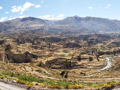 Valle del Colca | Panoramic view with terraced farmland