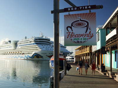 St. John's | Redcliffe Quay and cruise ships