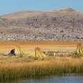 Lago Titicaca | Reed harvesting