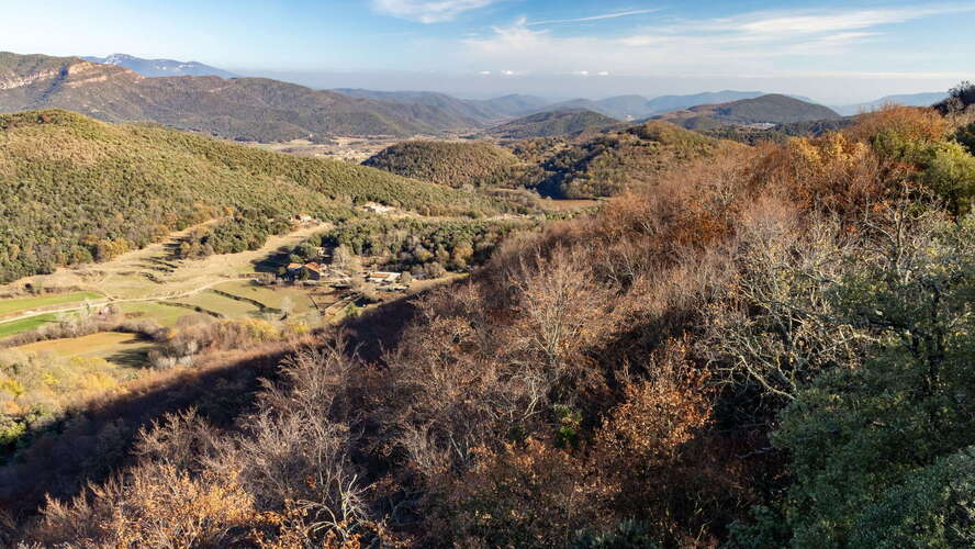 La Garrotxa | Deciduous forest