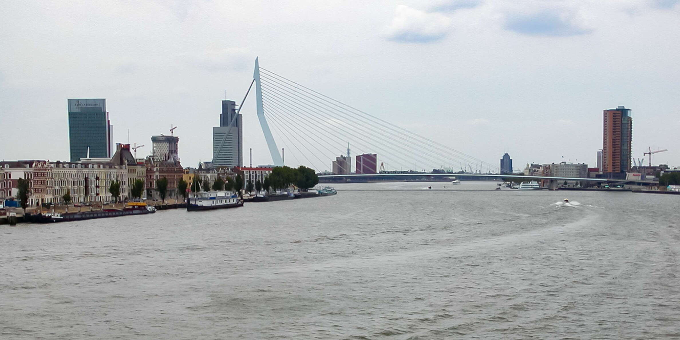 Rotterdam | Nieuwe Maas with Erasmusbrug