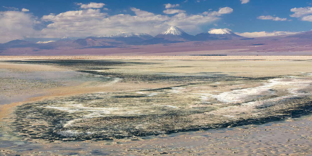 Salar de Atacama | Laguna de Chaxa