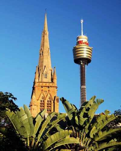 Sydney  |  St. Mary's Cathedral and Sydney Tower