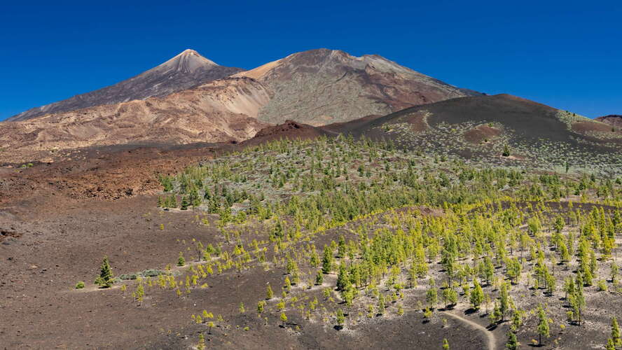 Pico del Teide and Pico Viejo