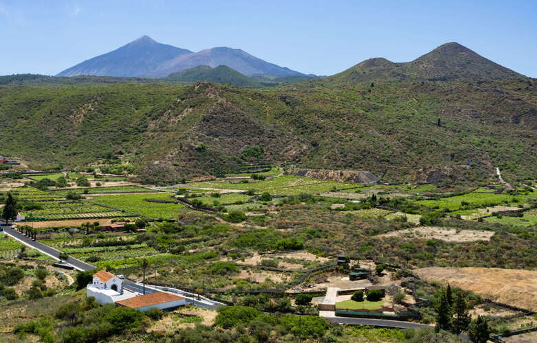 Santiago del Teide | Valle de Arriba with Pico del Teide