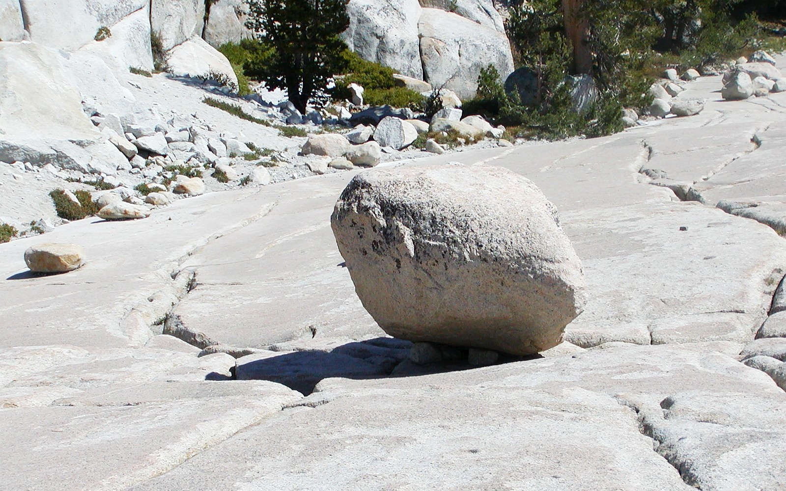 Yosemite NP  |  Granitoid block