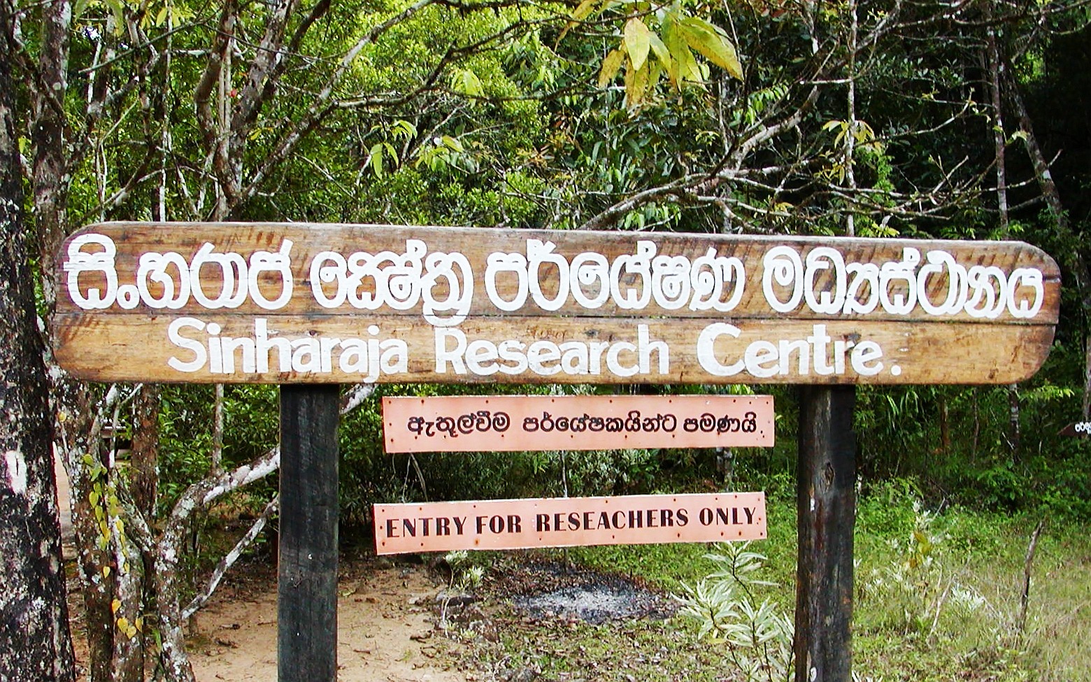 Sinharaja Research Centre