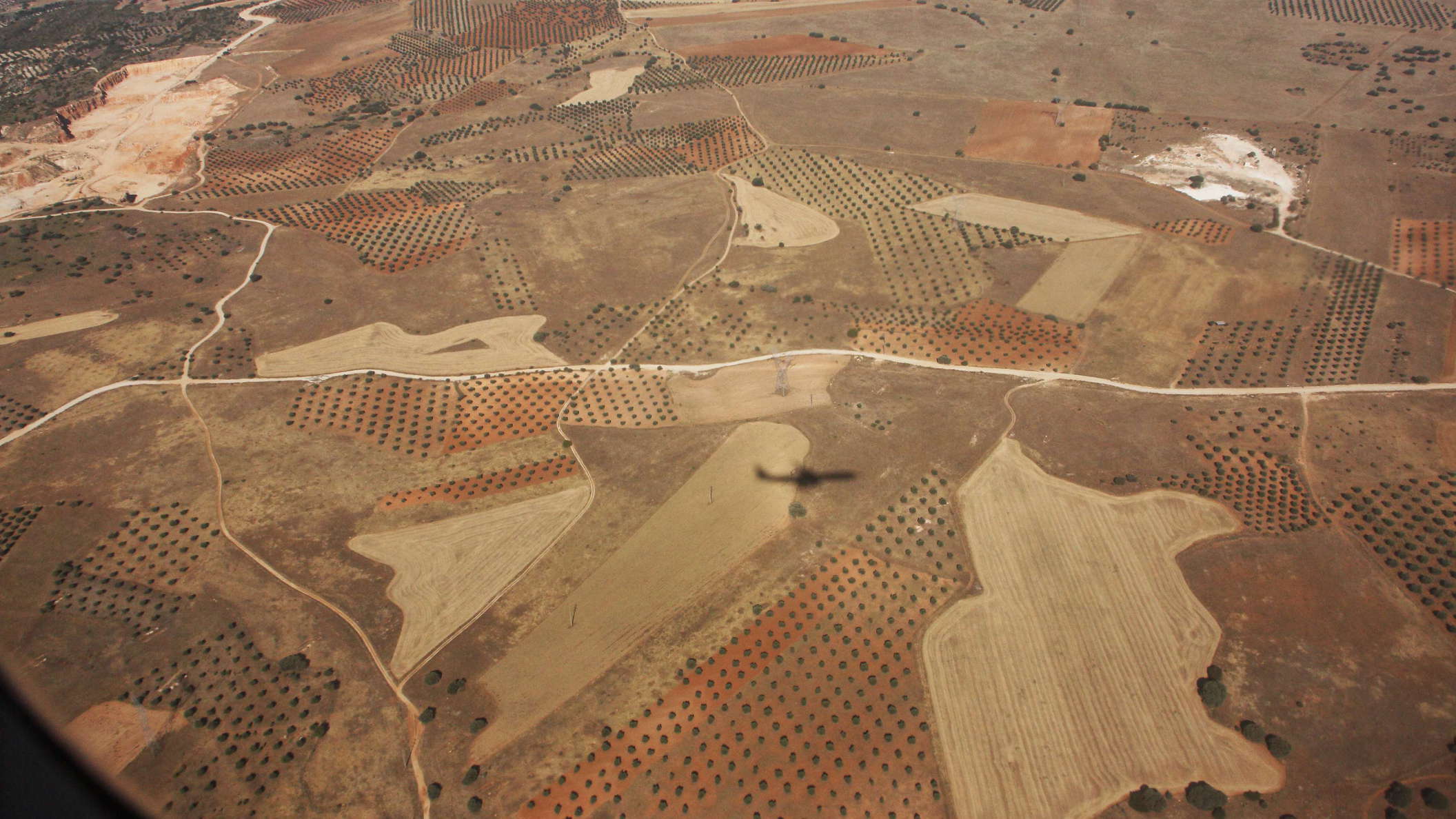 Central Spain | Agriculture
