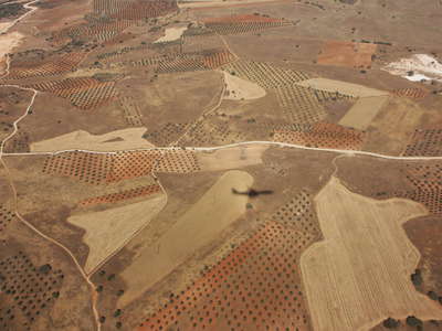 Central Spain | Agriculture