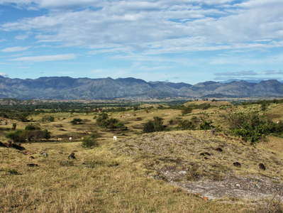 Río Magdalena Valley  |  Dry savanna