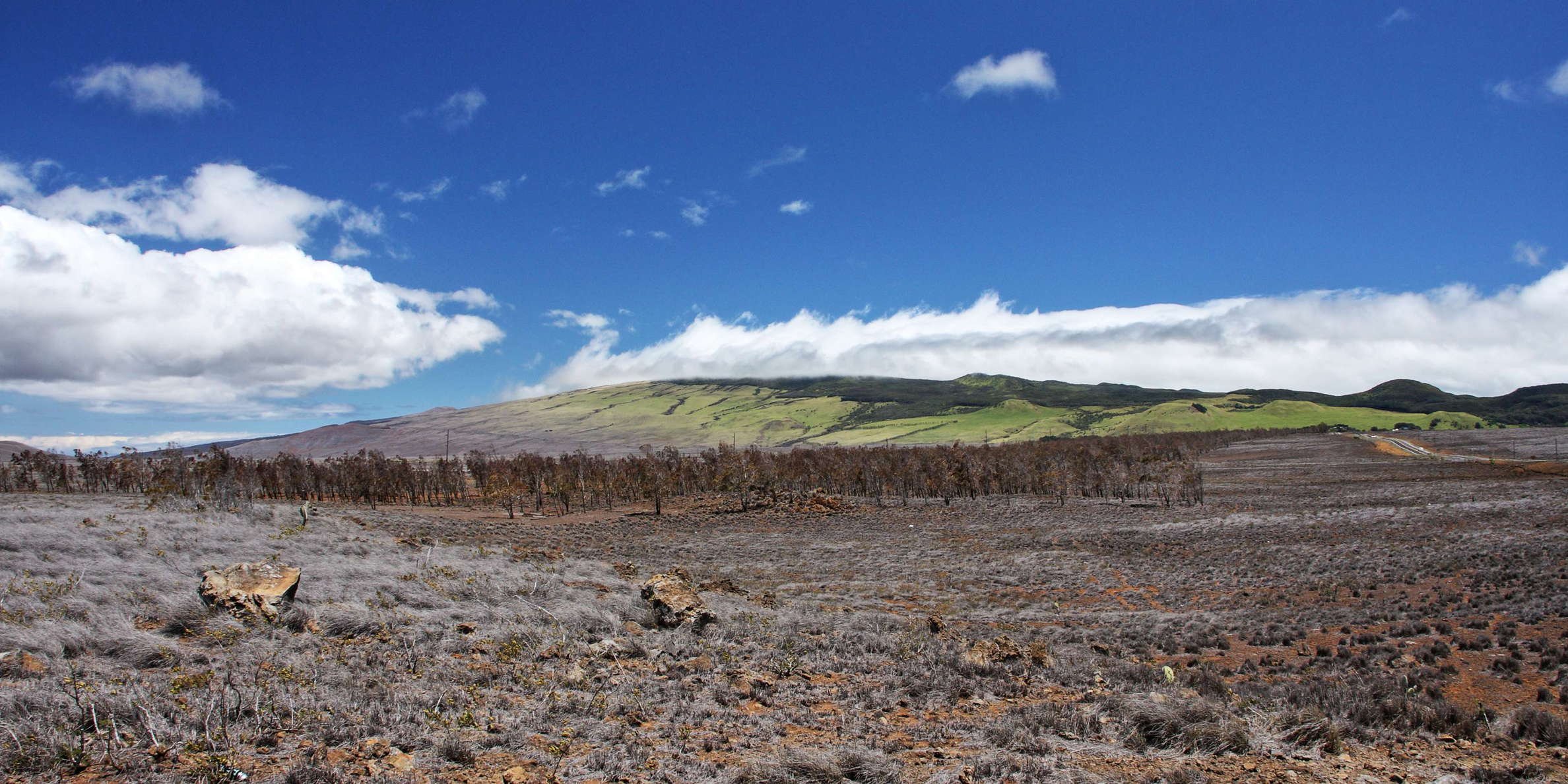 Kohala Mountains