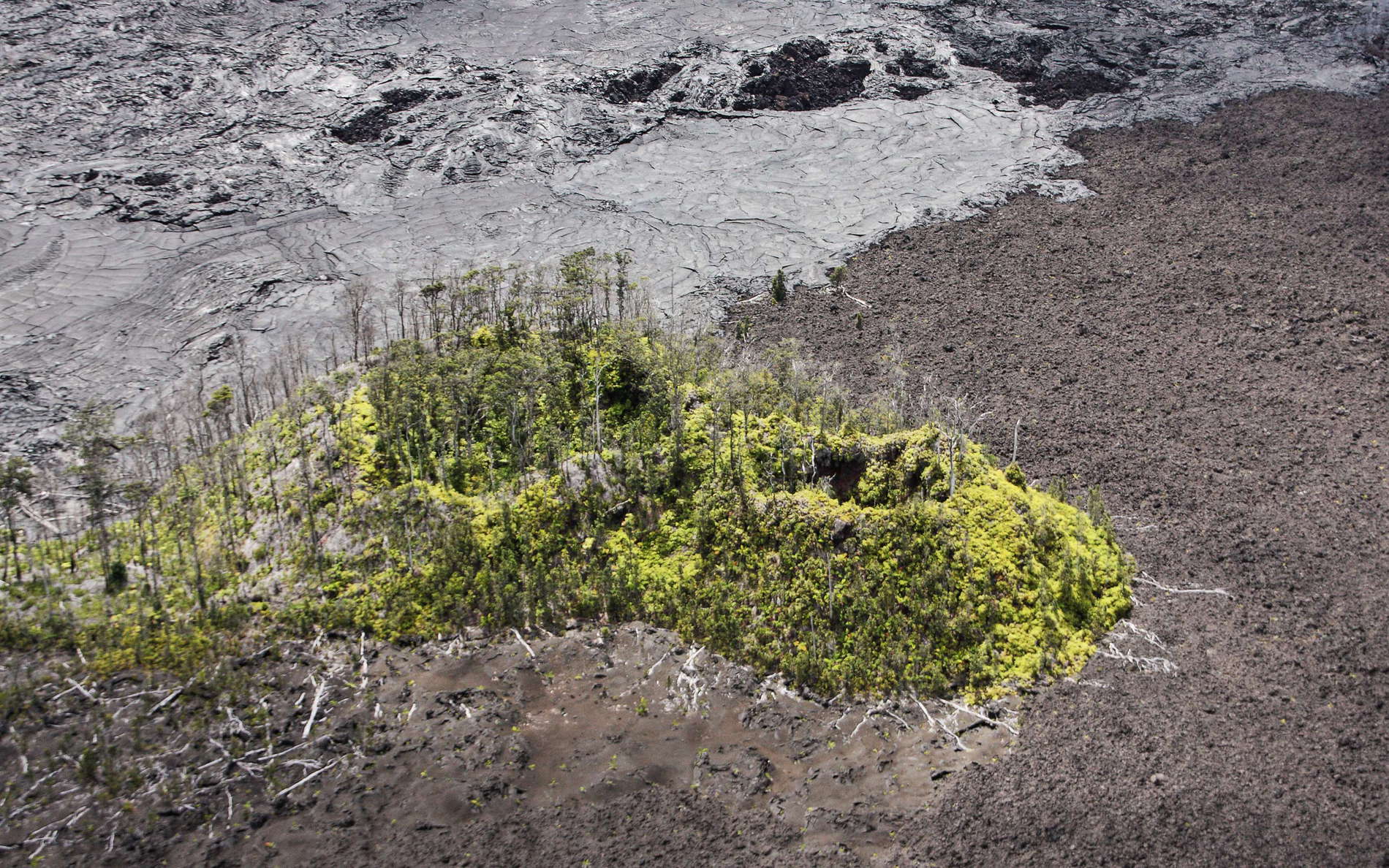 East Rift Zone  |  Island in lava flows