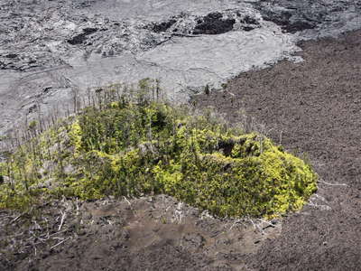 East Rift Zone  |  Island in lava flows