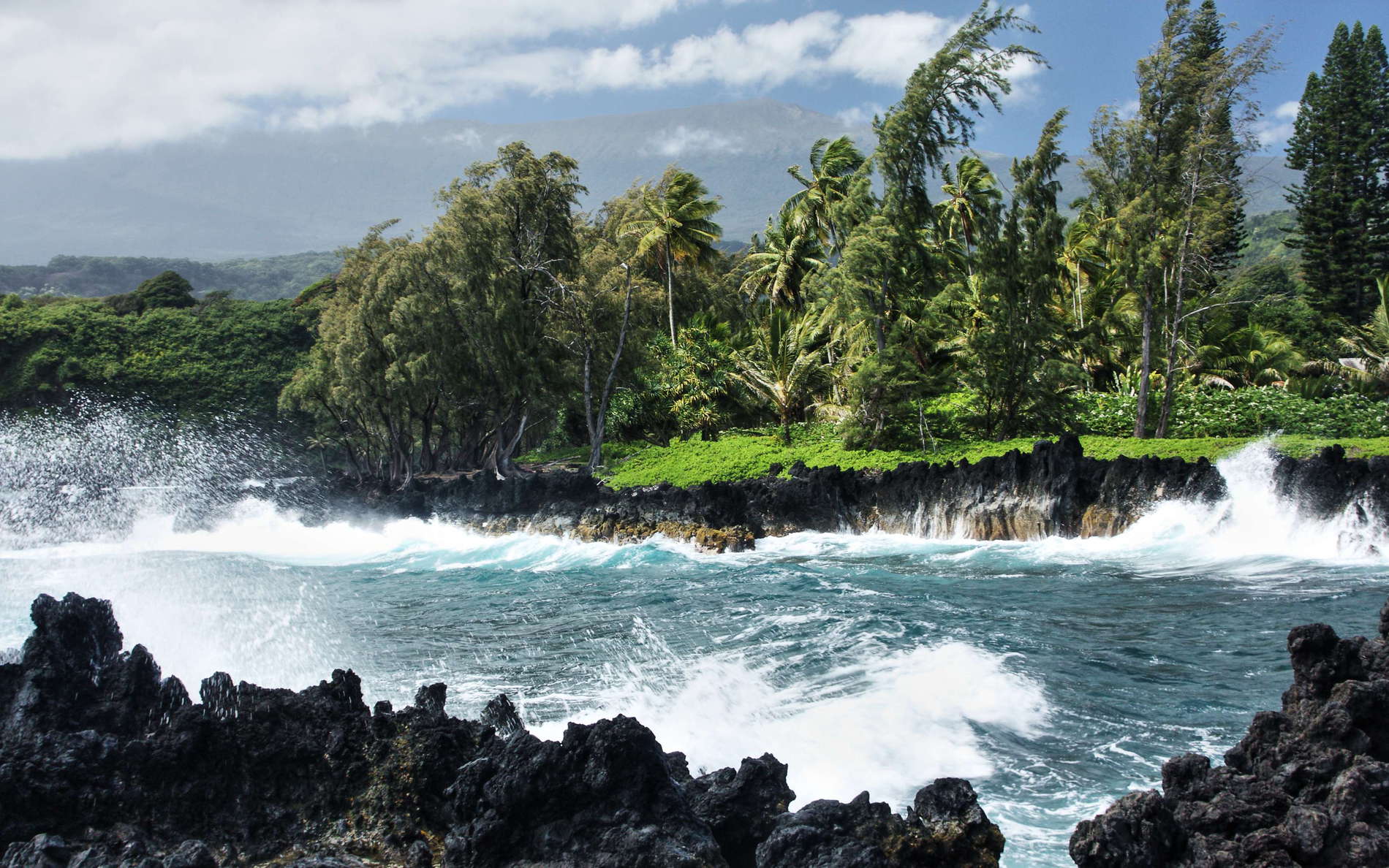 Haleakalā (3055 m) poorly visible in the background. The Ke'anae Peninsula forms part of Maui's humid northeast coast, fully exposed to the tradewinds. WI_hw315a.jpg