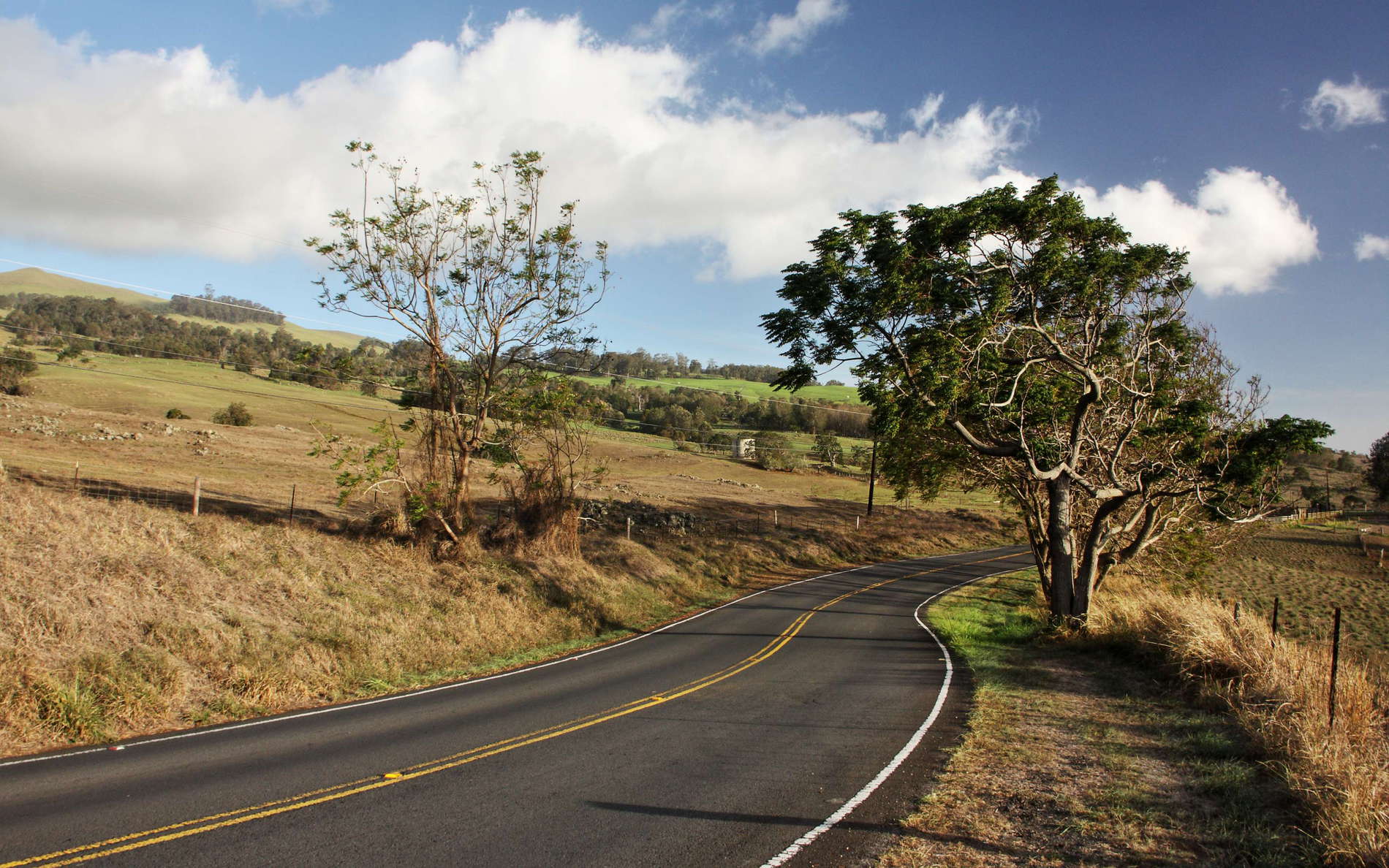 'Ulupalakua  |  Highway 37