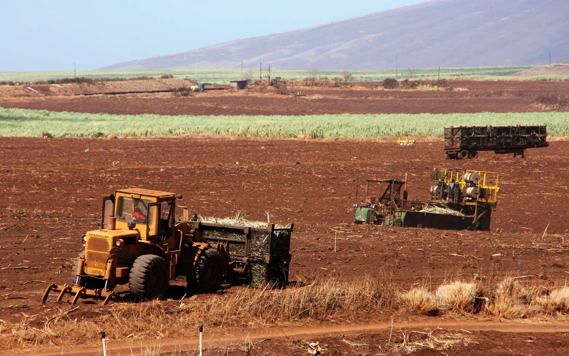 Sugar cane farming and processing in Hawai'i looks back to a long tradition. However, this industry has suffered a dramatic decline in the past decades. WI_hw329a.jpg