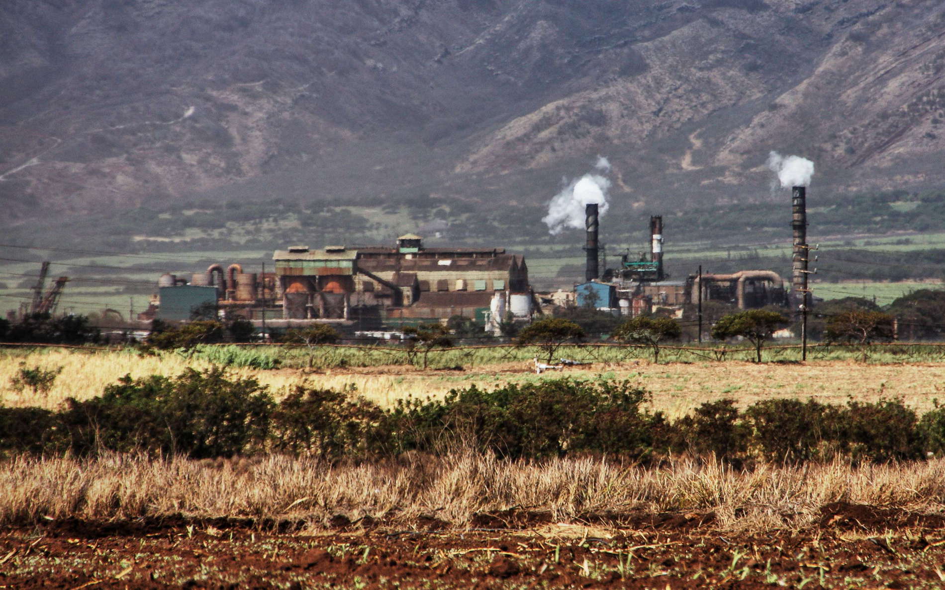 Kahului  |  Sugar mill