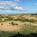 Khustayn Uul National Park  |  Vegetated dune field