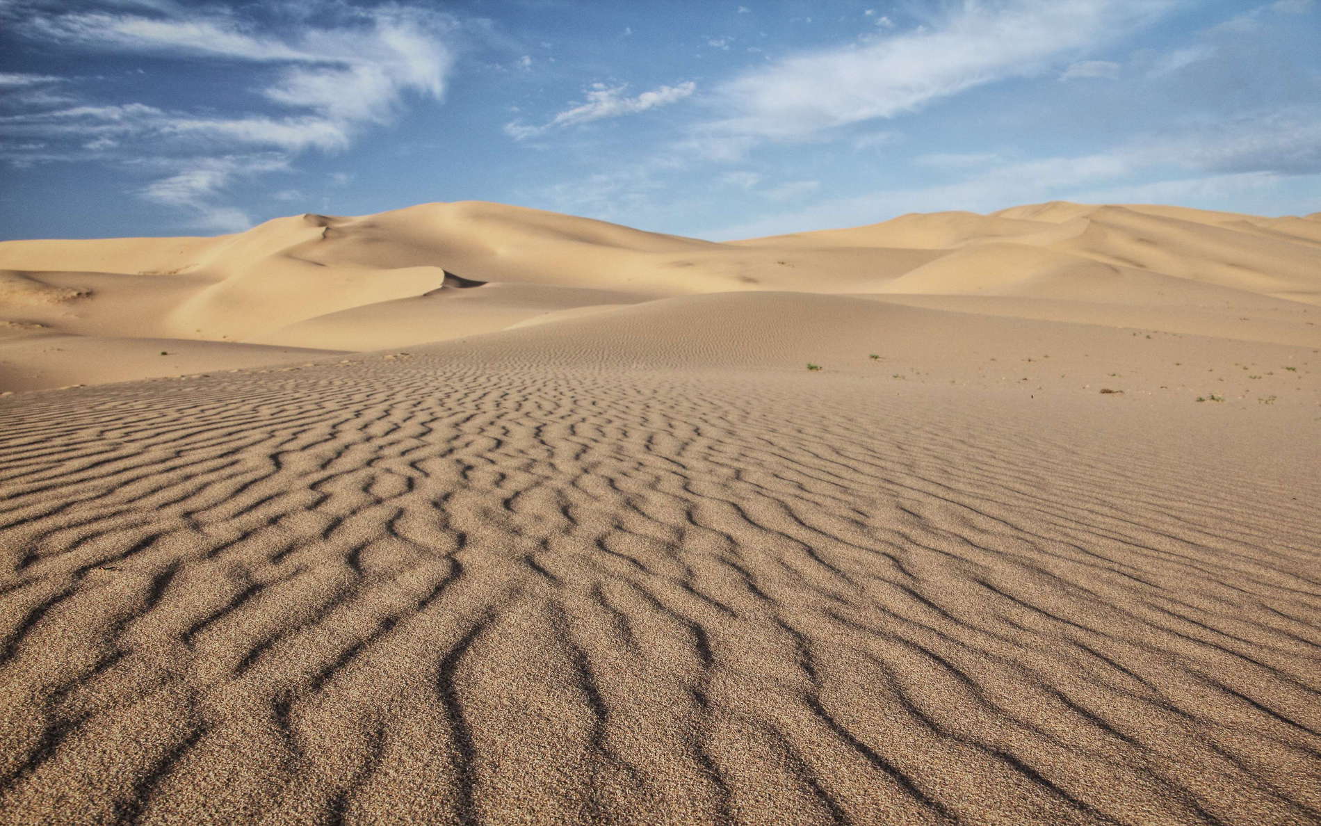 Note the aeolian ripples, aligned perpendicular to the prevailing wind direction. WI_mo137.jpg