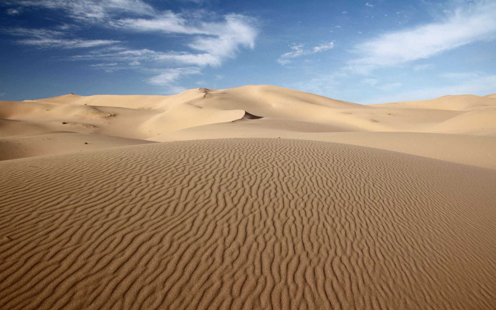 Note the aeolian ripples, aligned perpendicular to the prevailing wind direction. WI_mo138.jpg
