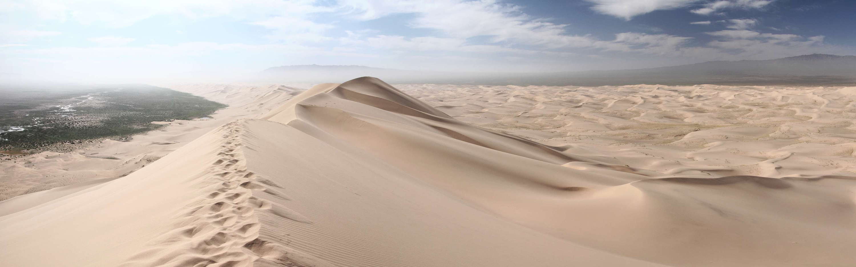 Khongoryn Els  |  Dune field panorama