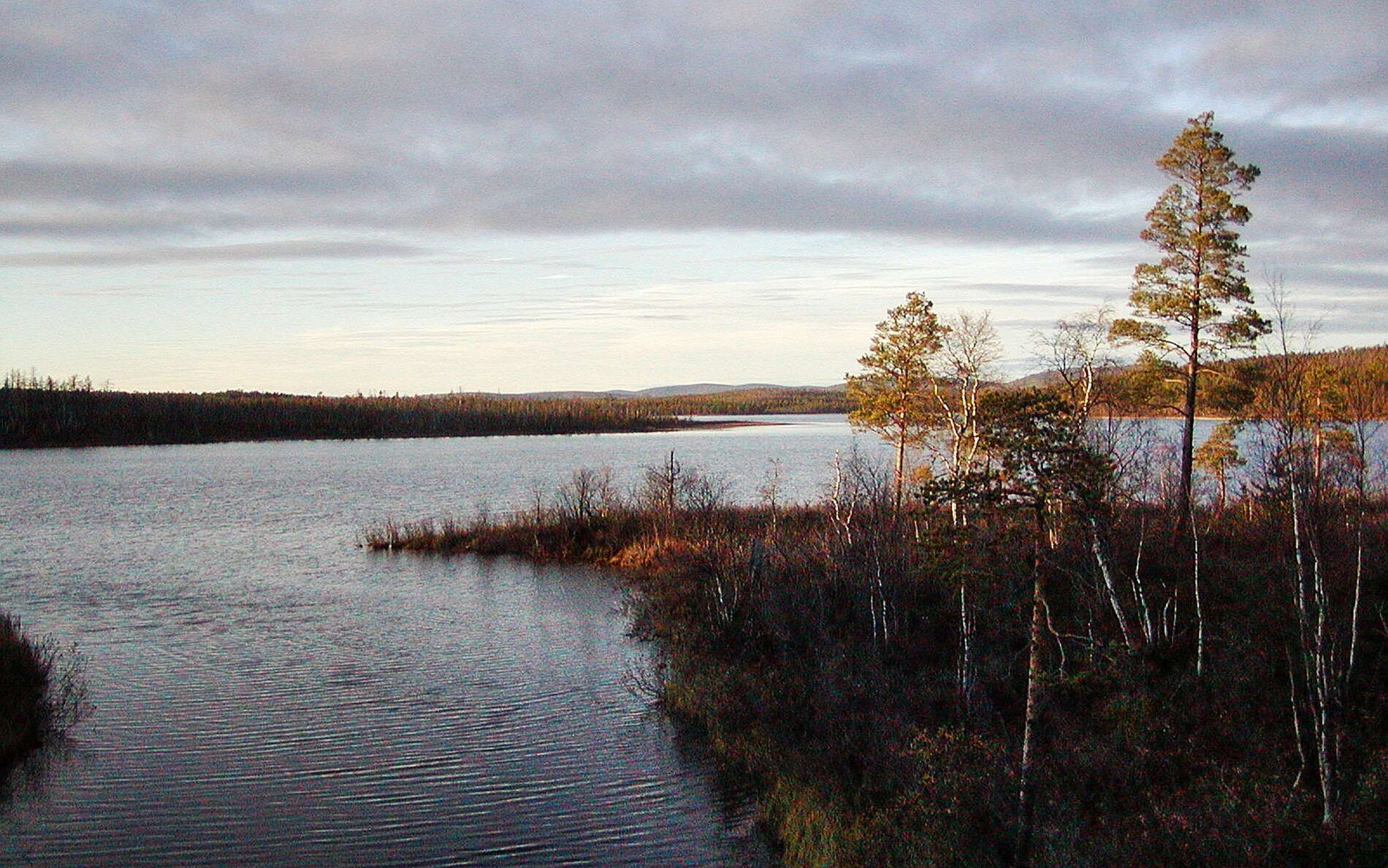WI_ru029.jpg
