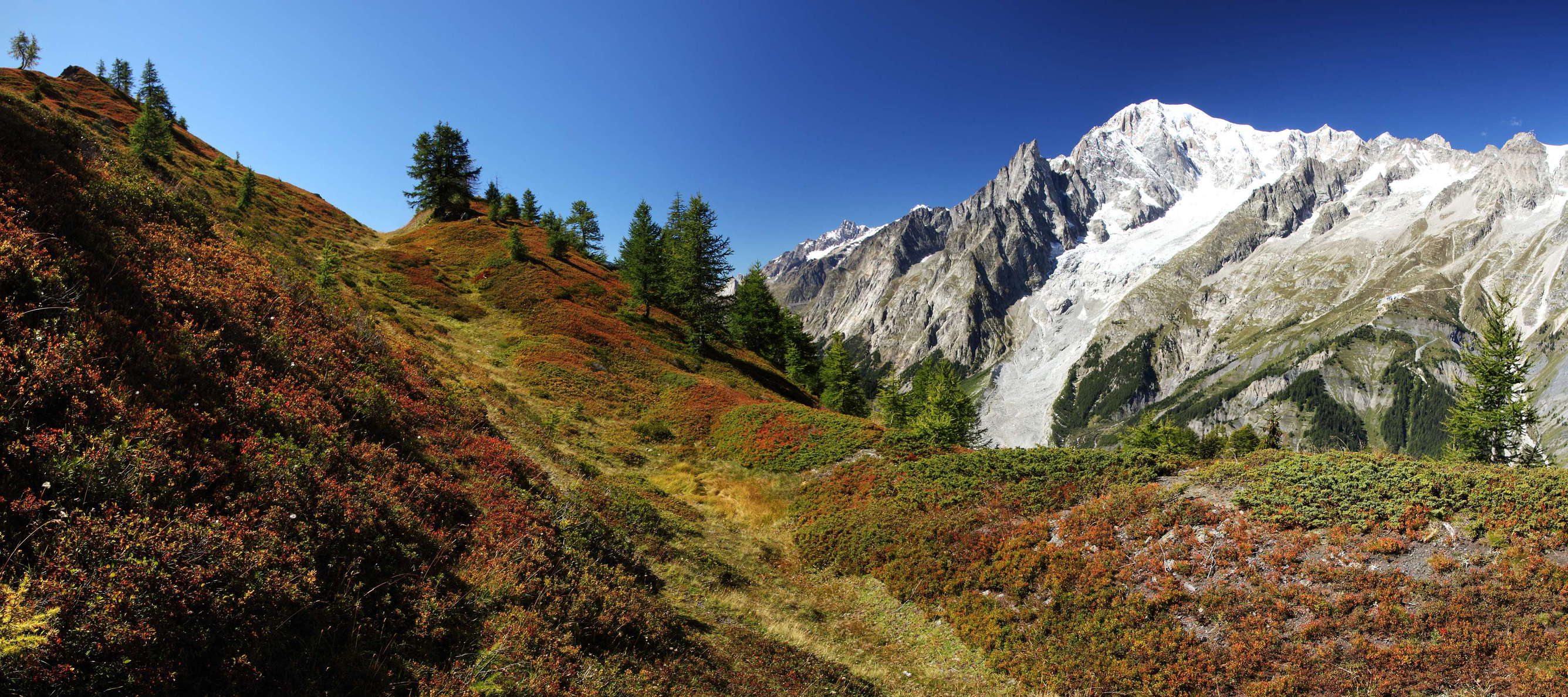 Monte Bianco (4810 m) with Ghiacciaio della Brenva in the central background. The prominent ridge in the foreground represents a backscarp and indicates the deformations characteristic for the northwestern slope of Mont de la Saxe. WI_e2047_107.jpg