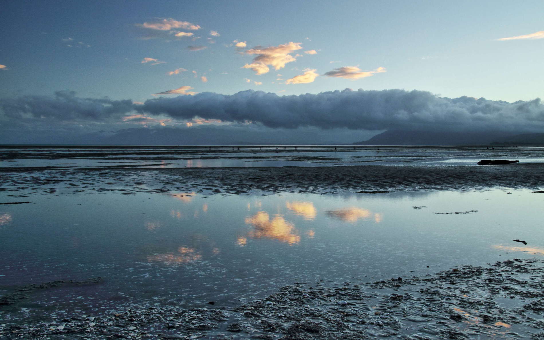 Farewell Spit  |  Bird Sanctuary