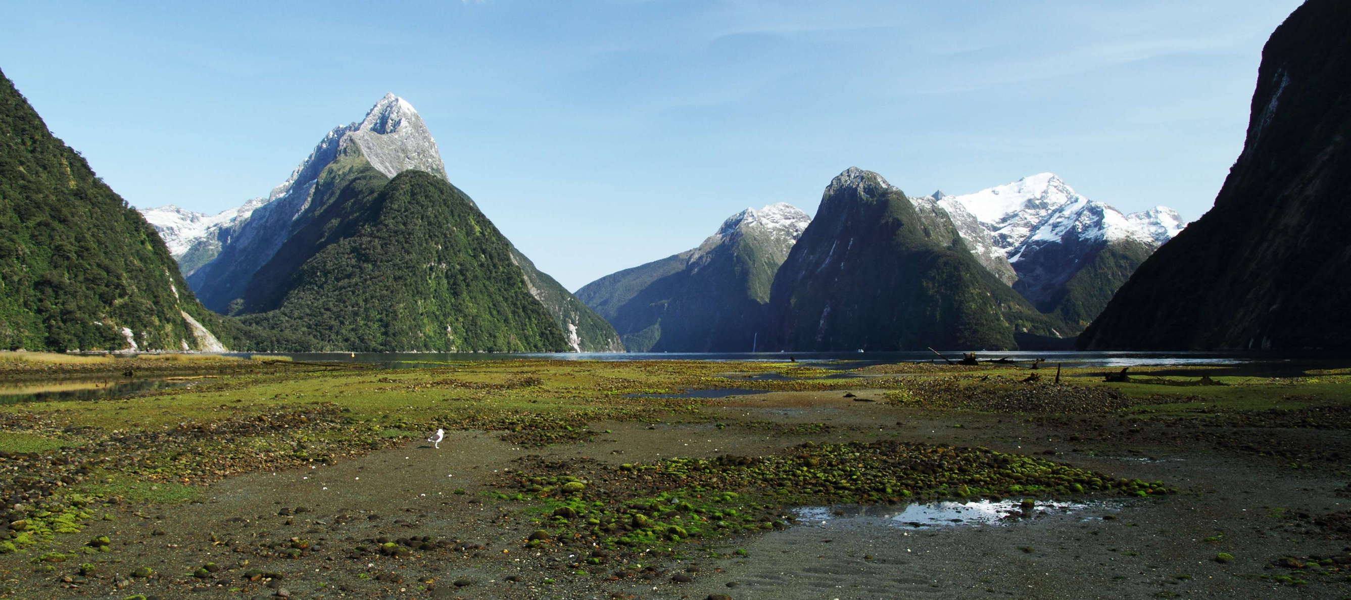 Milford Sound / Piopiotahi at low tide